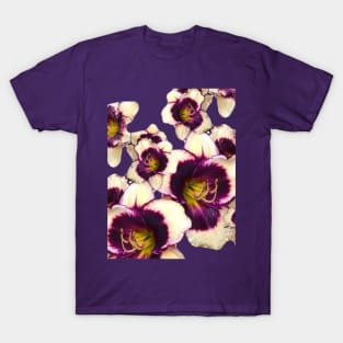 Beautiful summer Lily T-Shirt